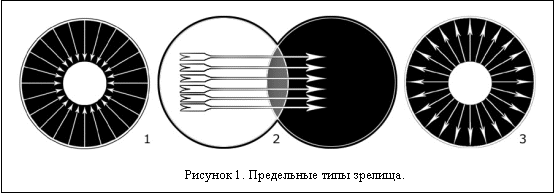 Text Box:  
������� 1. ���������� ���� �������.

