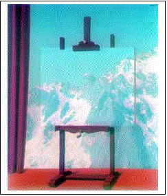 Text Box:  